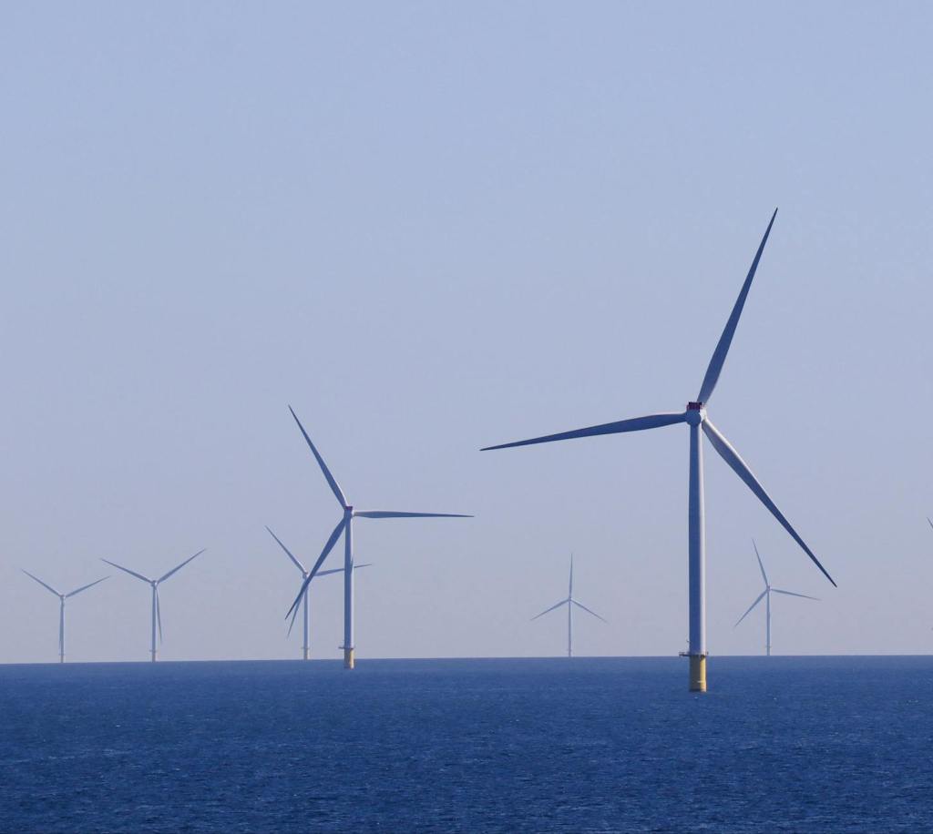 Balancing Energy Needs and Biodiversity: The Importance of Managing and Monitoring Offshore Energy&nbsp;Projects